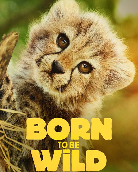 مشاهدة مسلسل تحميل Born to be Wild الموسم الاول الحلقة 5 مترجمة